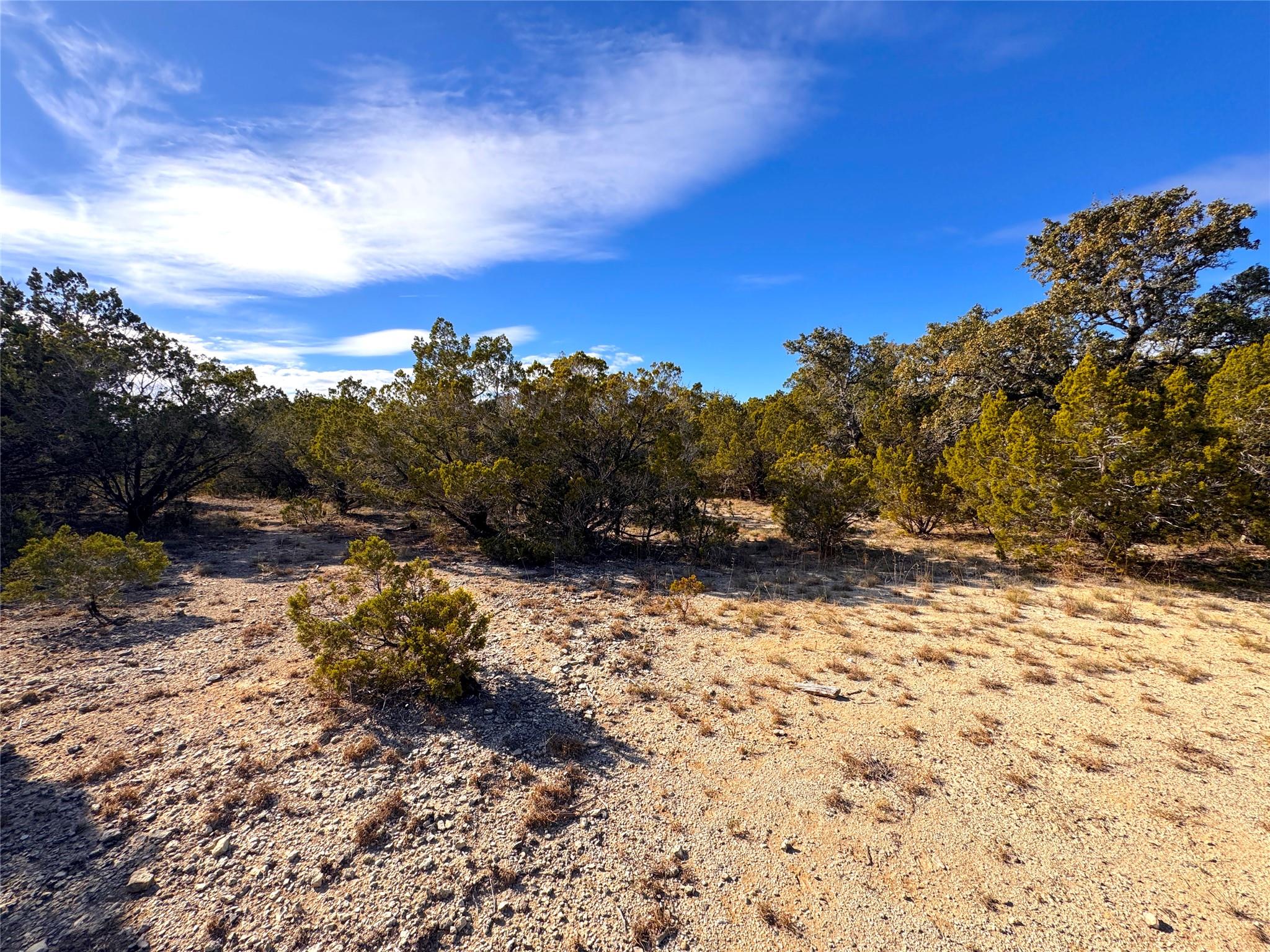 Image 11 of 13 For 985 Oblate Dr Dr