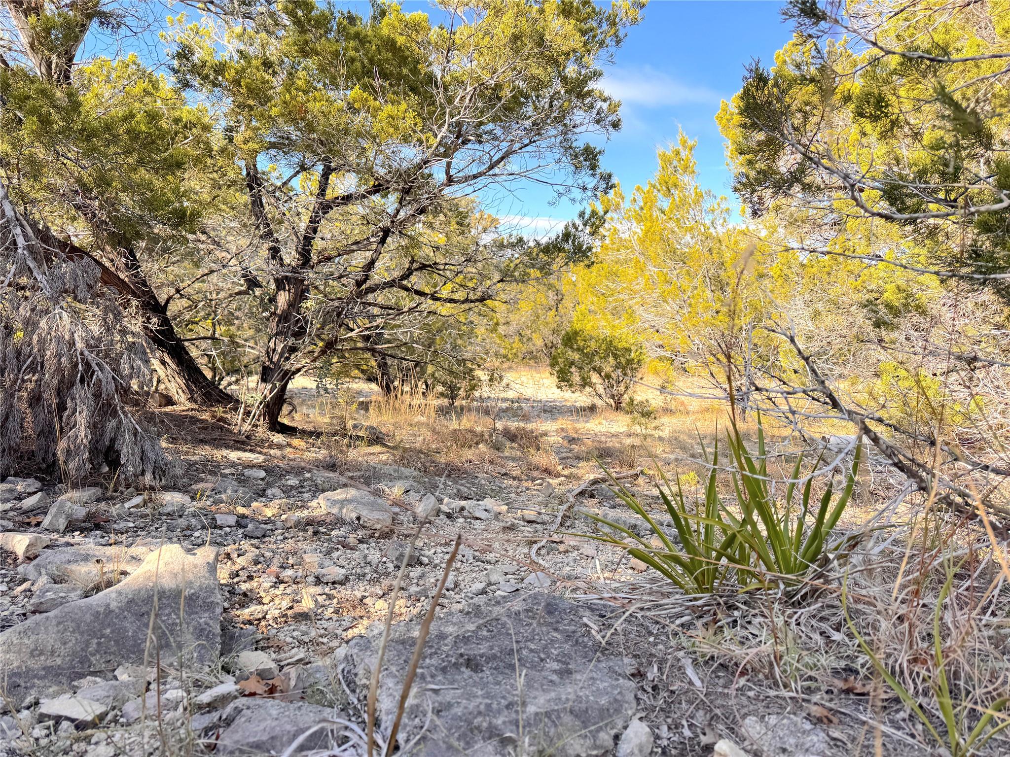 Image 13 of 13 For 985 Oblate Dr Dr