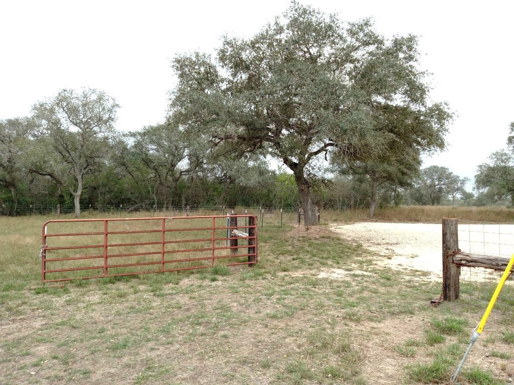 Details for 251 Lefty Lane Ln, Goliad, TX 77963