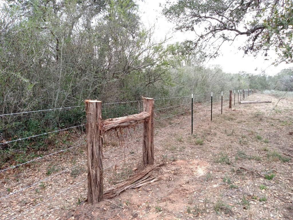 Image 13 of 24 For 251 Lefty Lane Ln