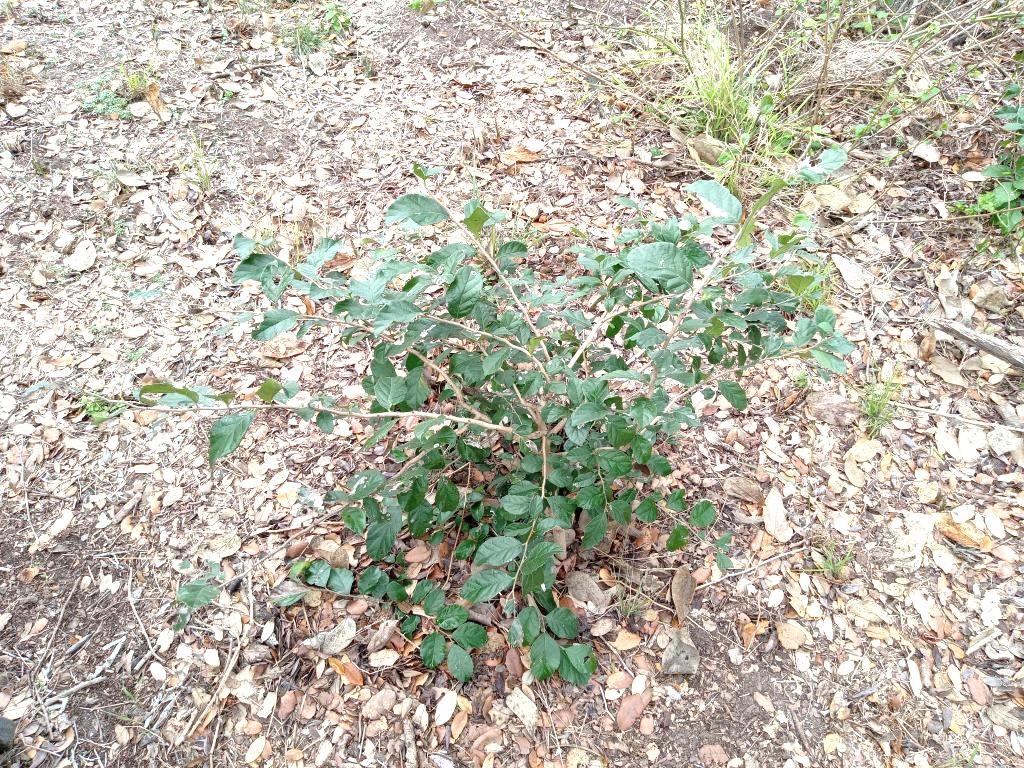 Image 23 of 24 For 251 Lefty Lane Ln