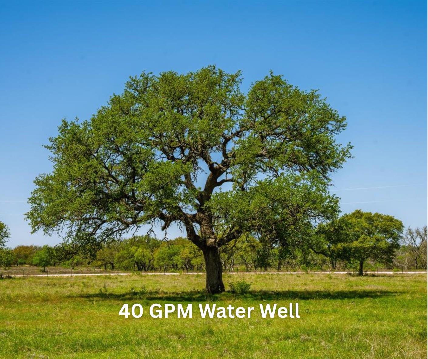 Details for 0 Springwood Ranch, Johnson City, TX 78636