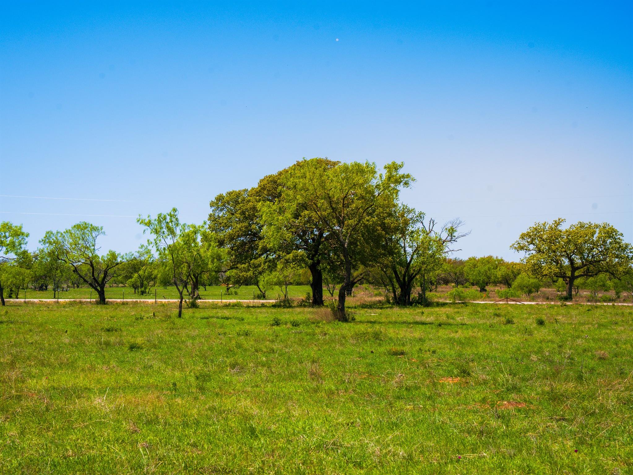 Image 9 of 19 For 0 Springwood Ranch