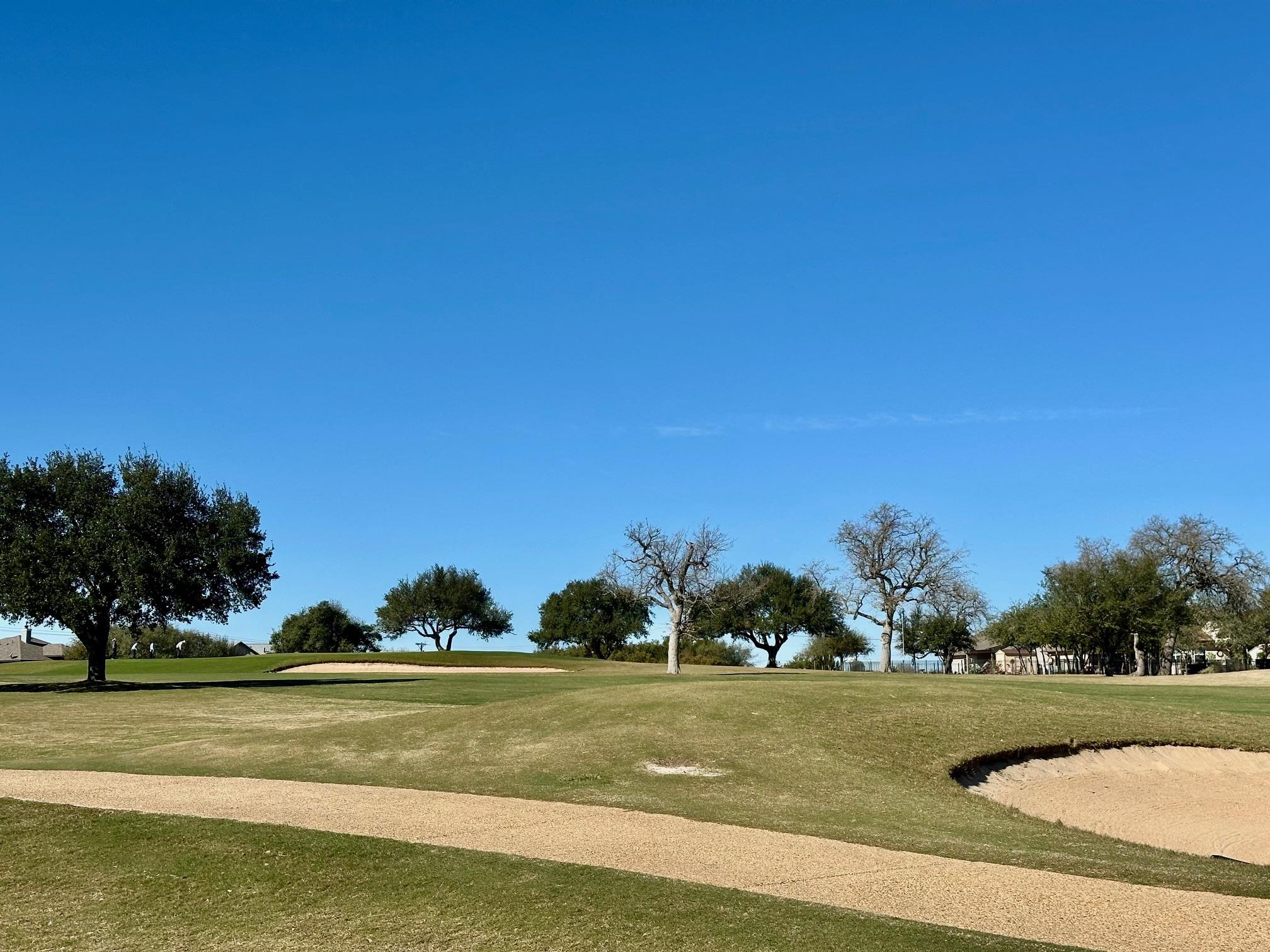 Details for 117 Warren Wallace, Blanco, TX 78606