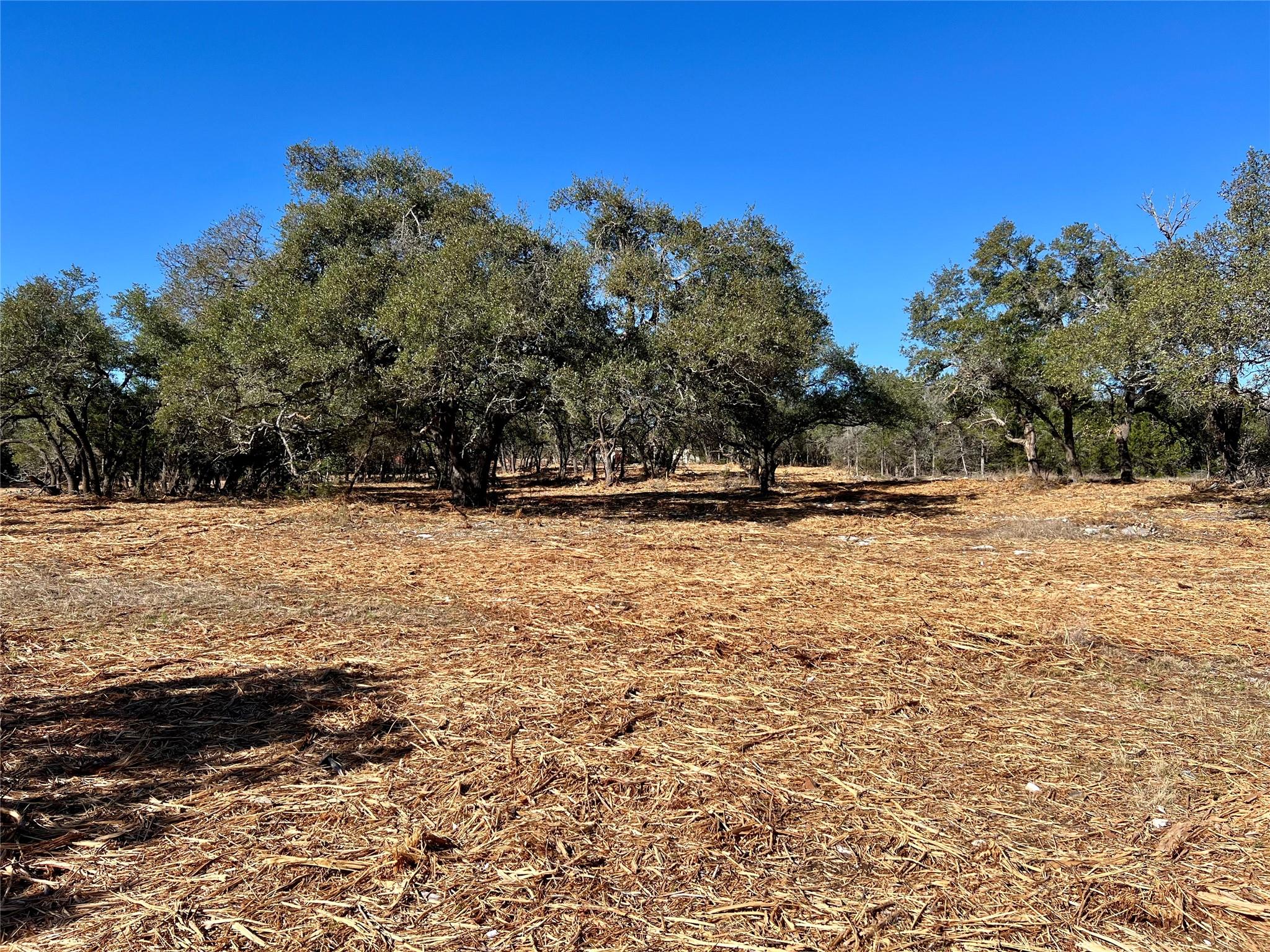 Details for 422 Patricia Rd, Georgetown, TX 78628