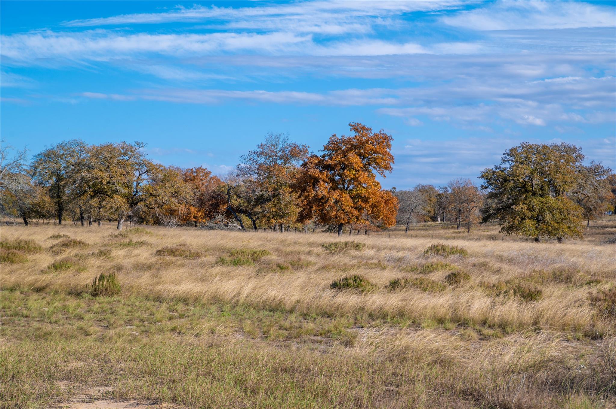 Details for 847 Littlehorn Ln, Stockdale, TX 78160