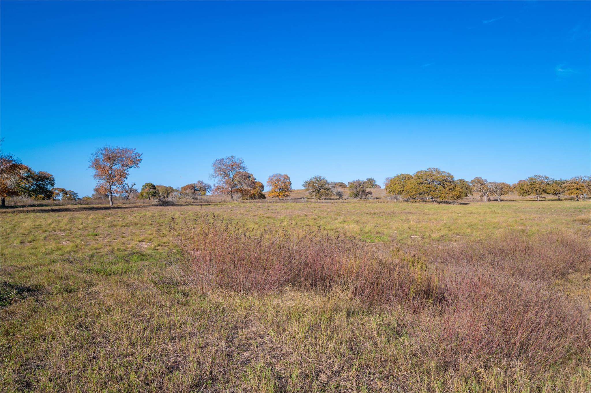 Image 10 of 30 For 847 Littlehorn Ln