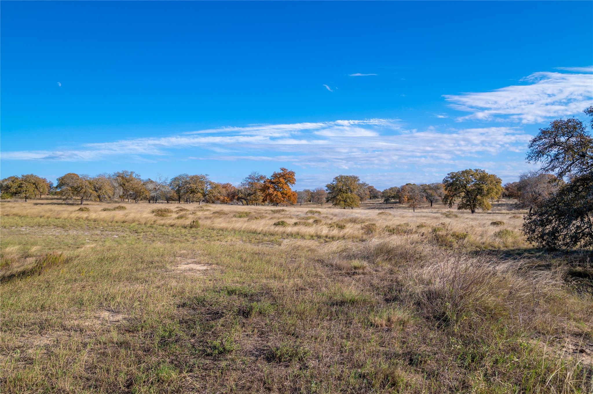 Image 11 of 30 For 847 Littlehorn Ln