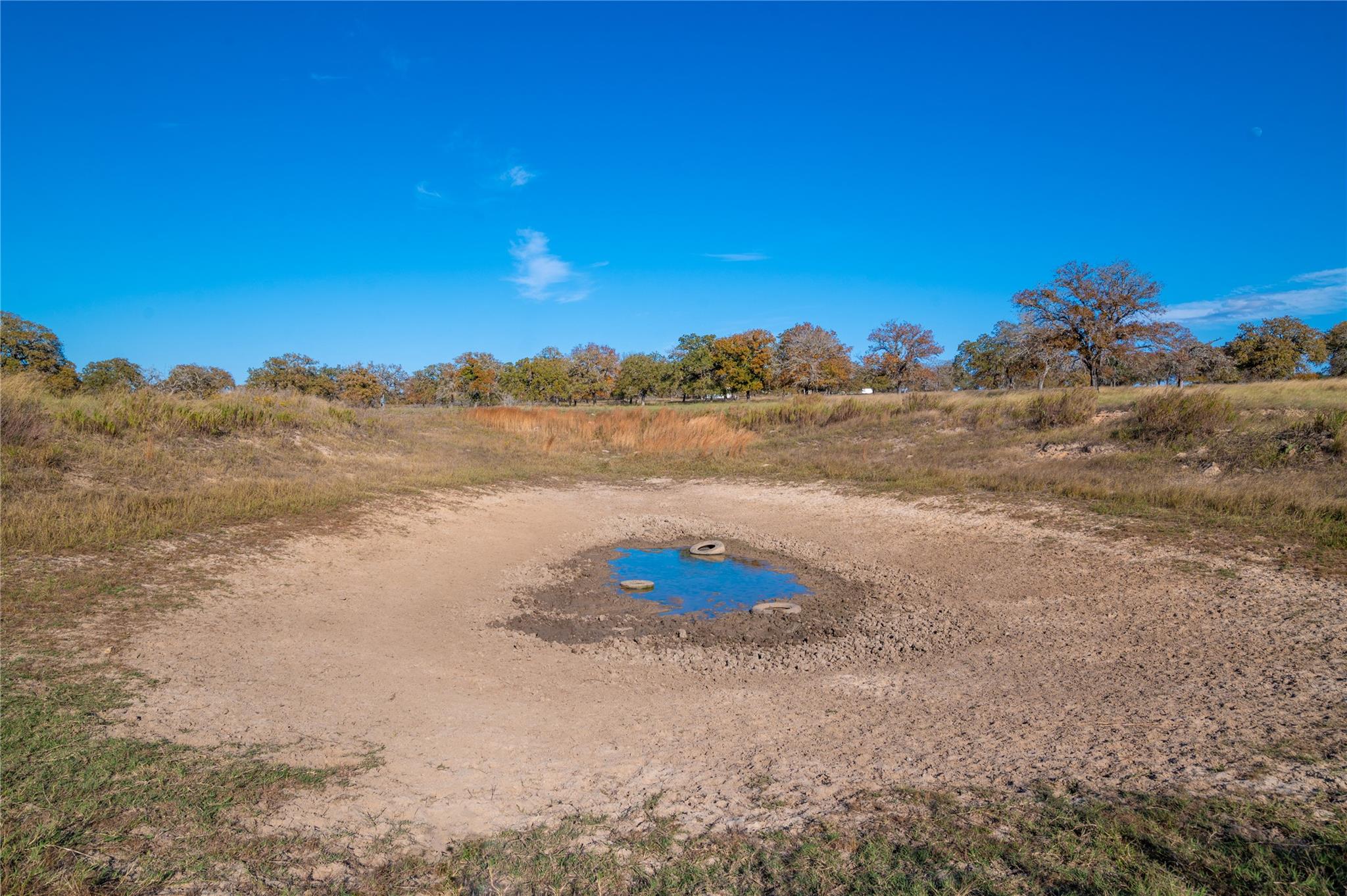 Image 12 of 30 For 847 Littlehorn Ln