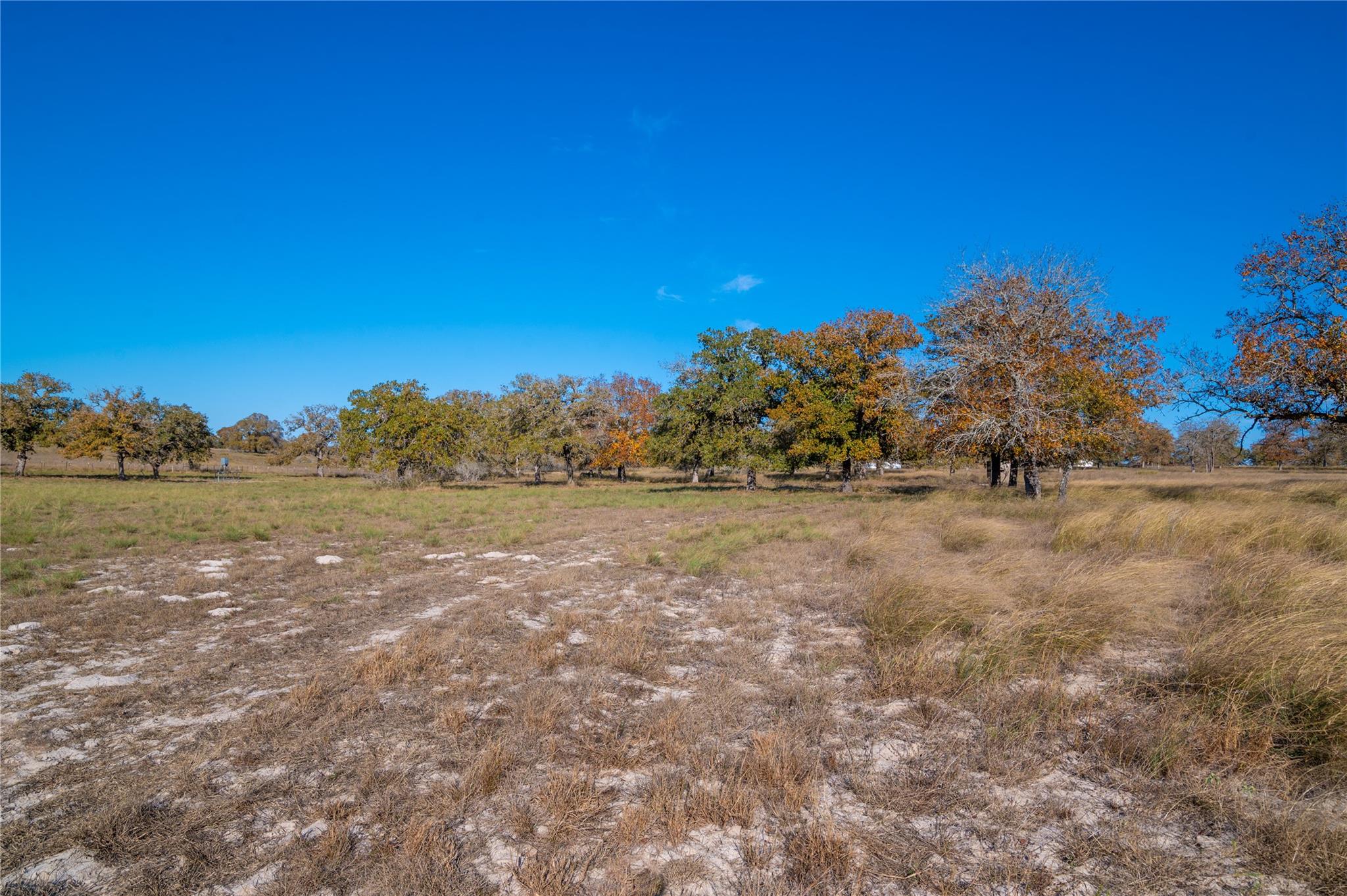 Image 13 of 30 For 847 Littlehorn Ln