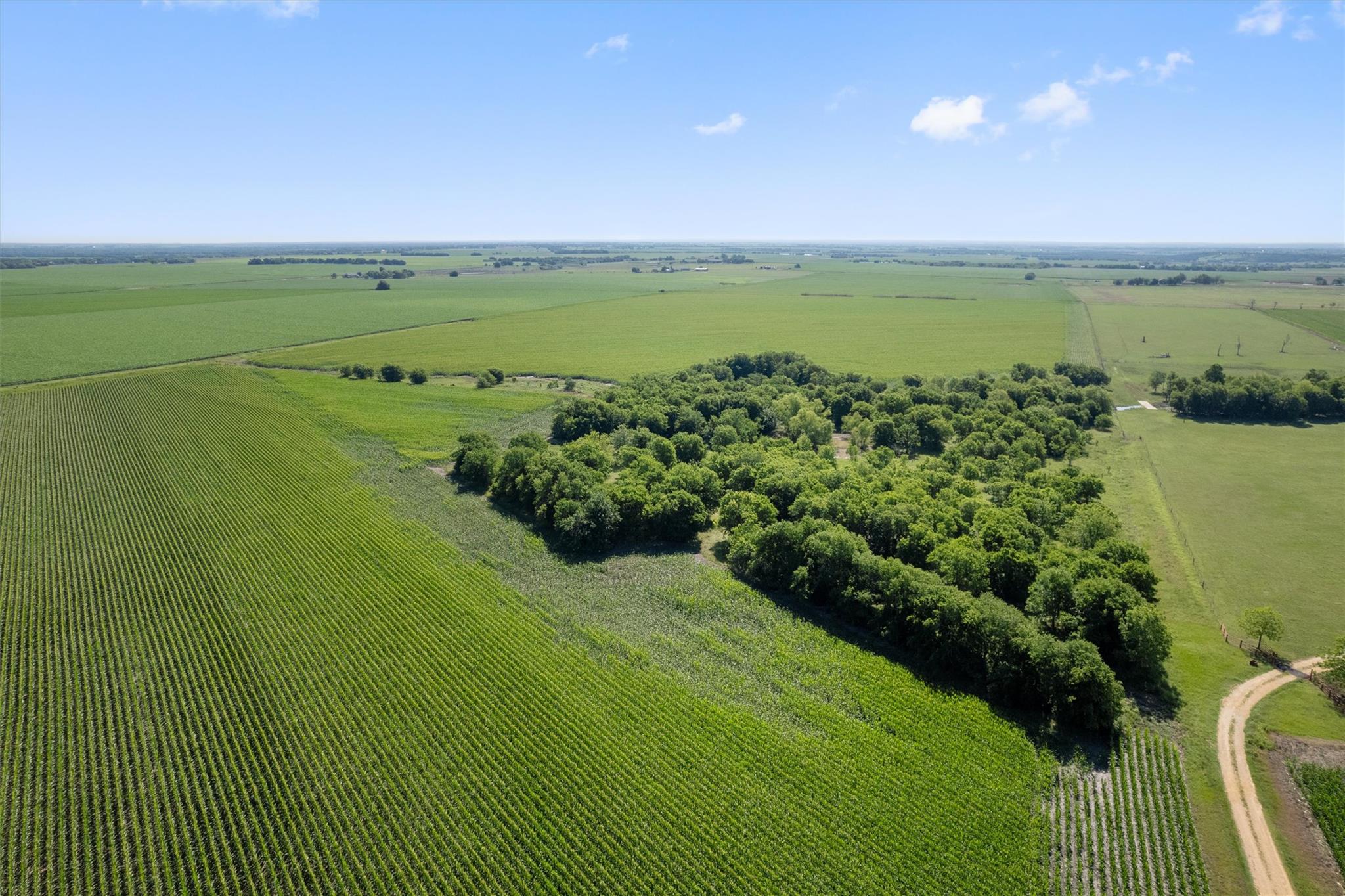 Image 11 of 21 For 1701 County Road 424