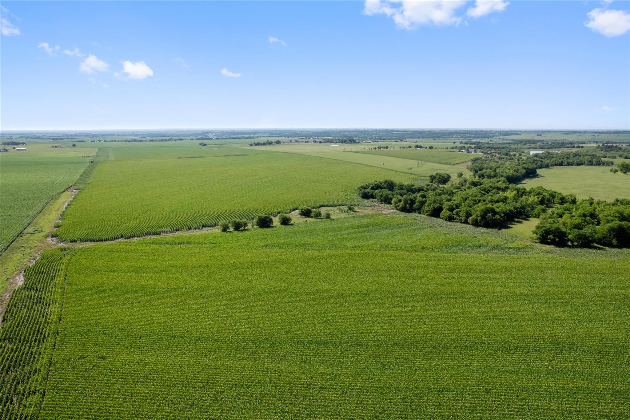 Image 12 of 21 For 1701 County Road 424