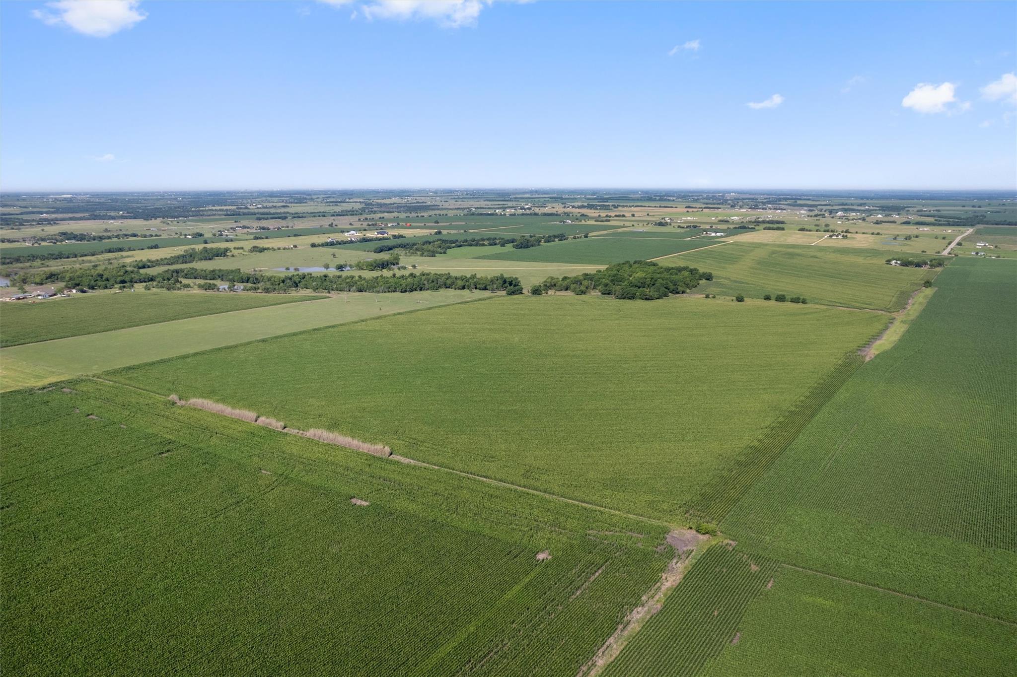 Image 13 of 21 For 1701 County Road 424