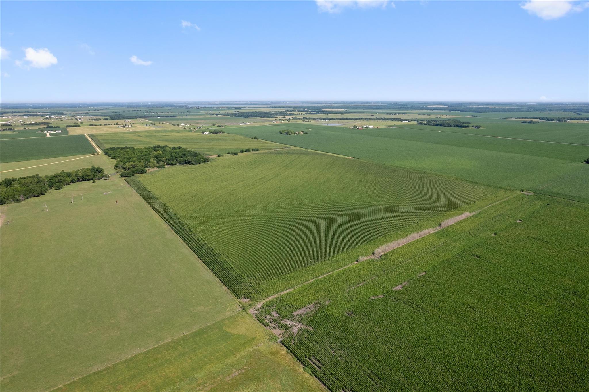 Image 15 of 21 For 1701 County Road 424