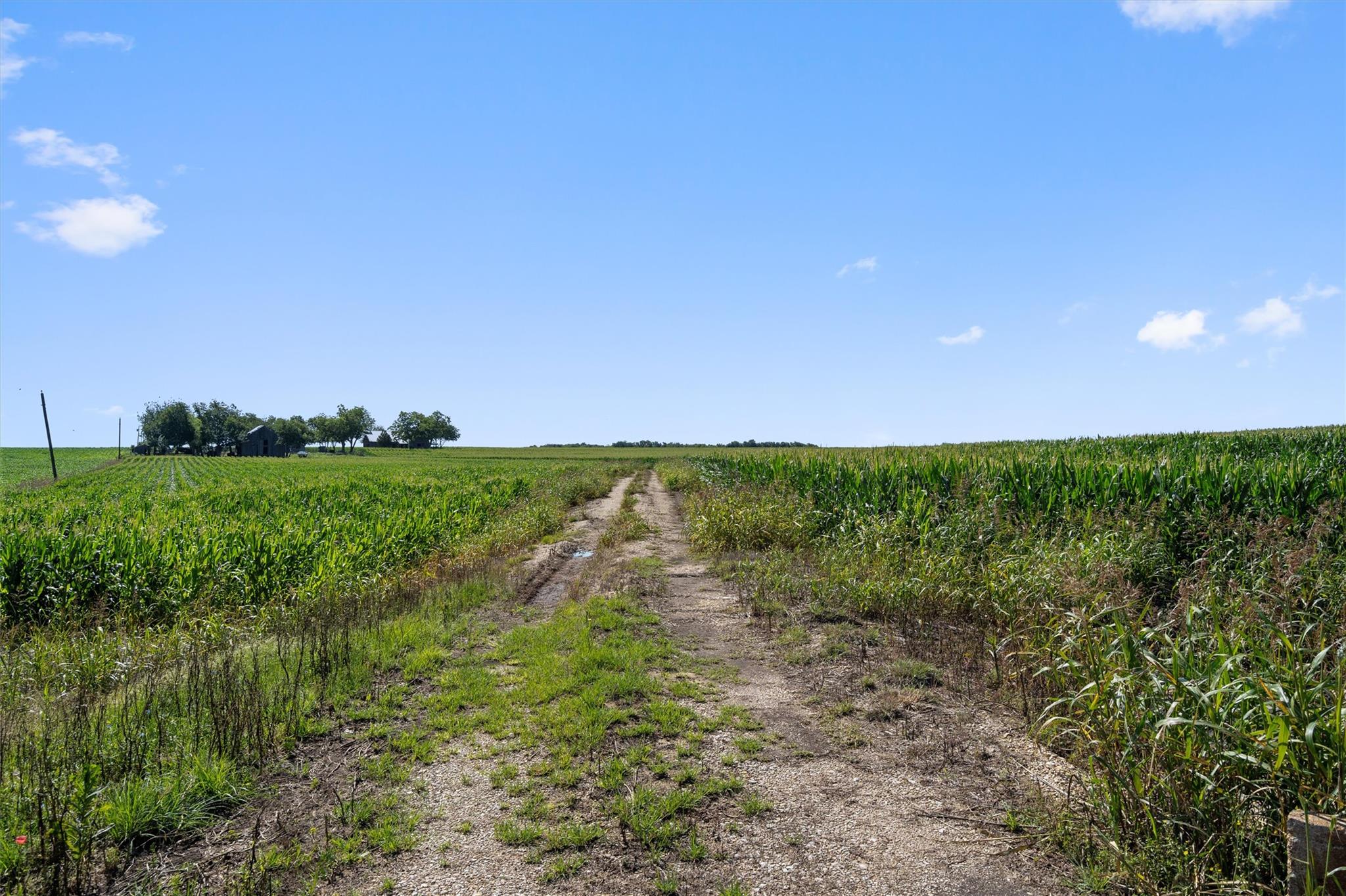 Image 19 of 21 For 1701 County Road 424