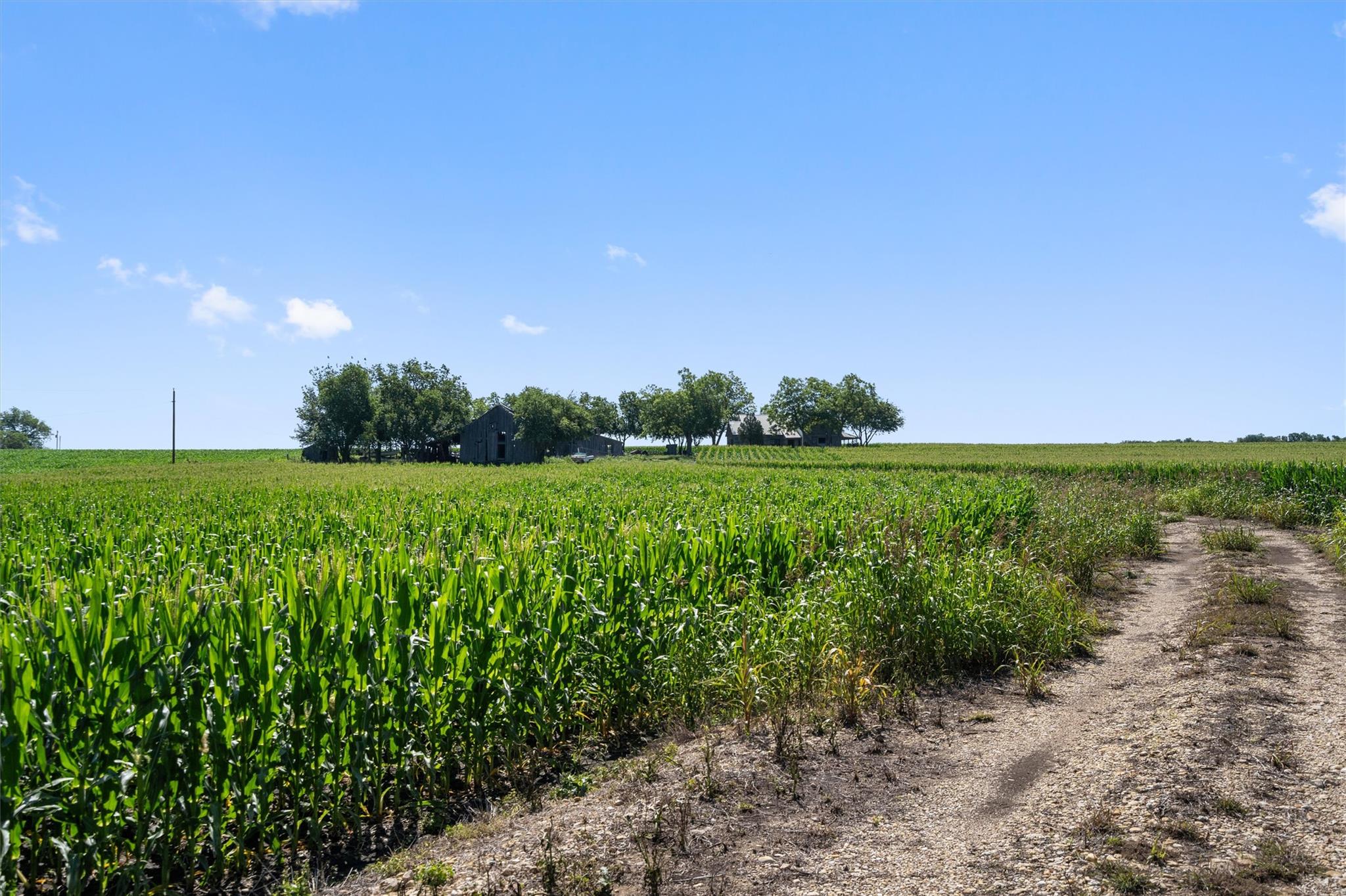 Image 21 of 21 For 1701 County Road 424