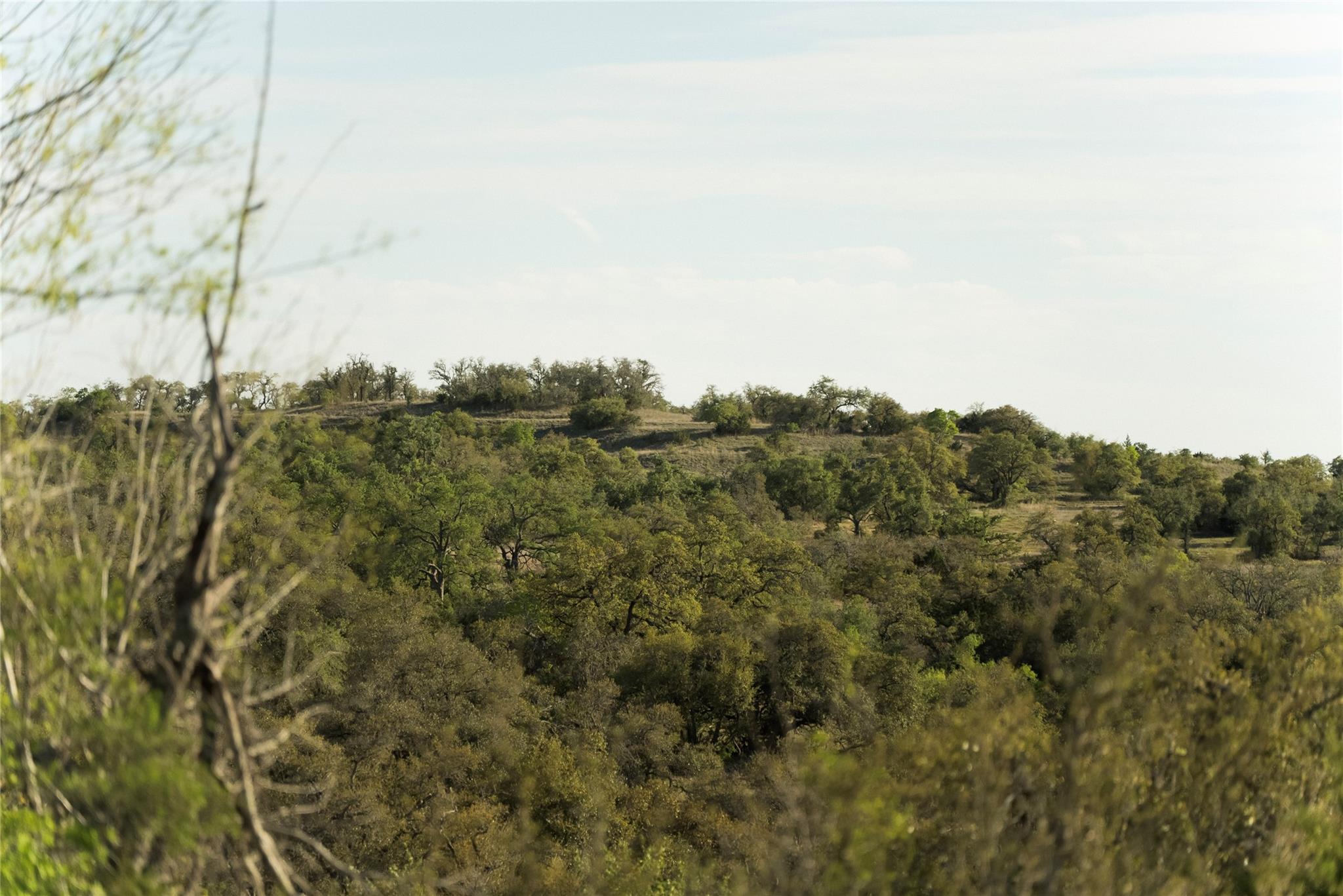Image 13 of 35 For 157 Chick Ranch Loop