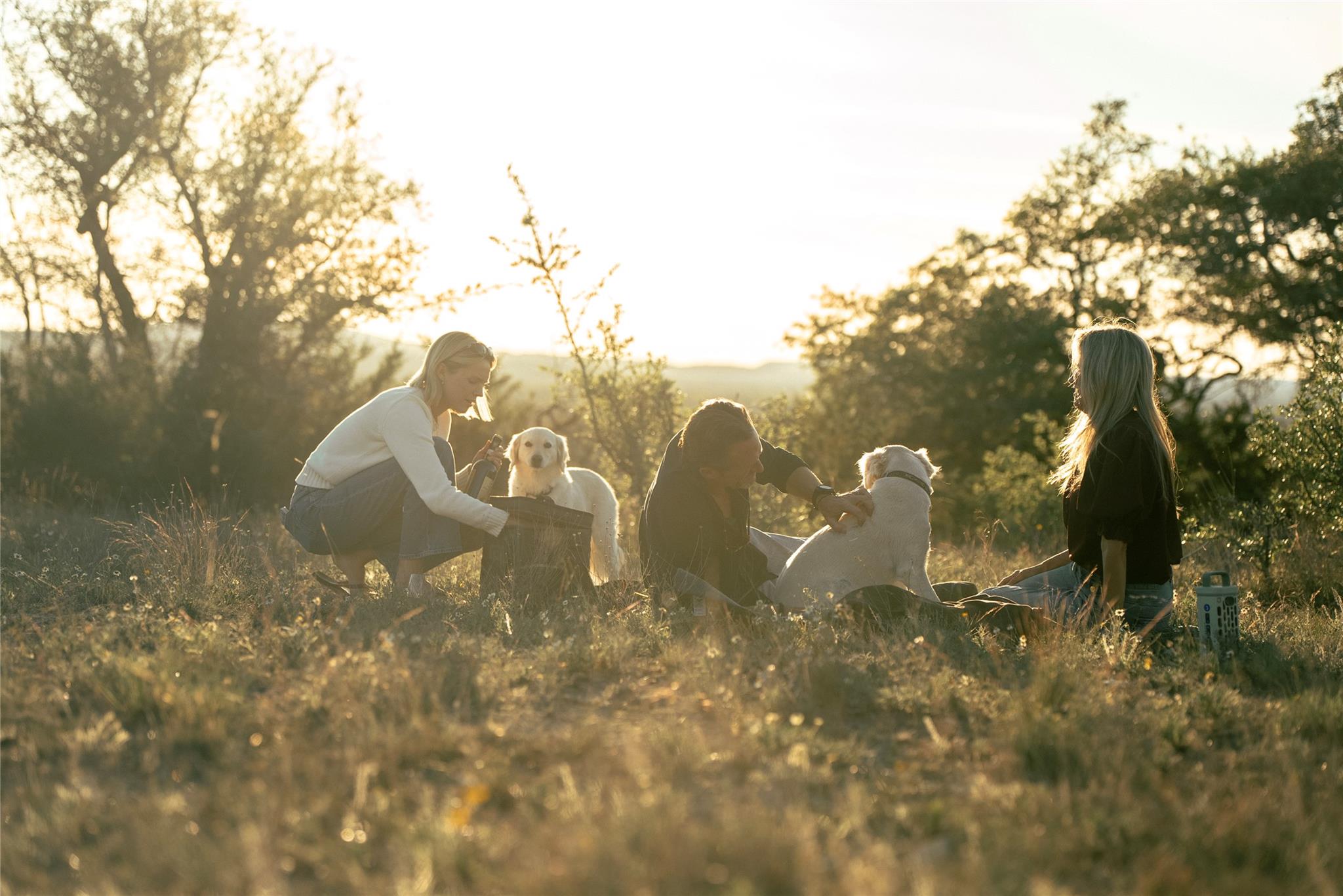 Image 14 of 35 For 157 Chick Ranch Loop