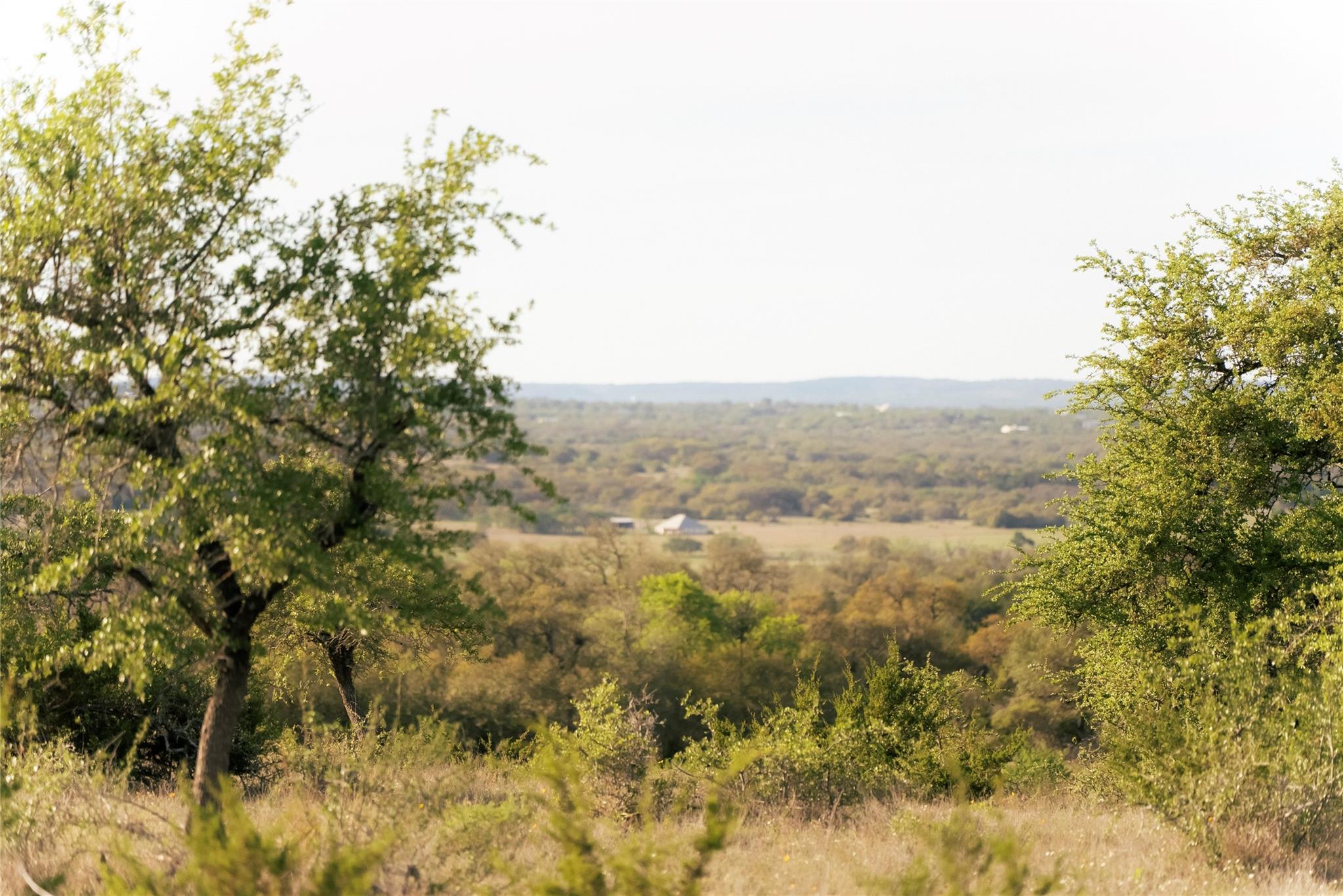 Image 15 of 35 For 157 Chick Ranch Loop