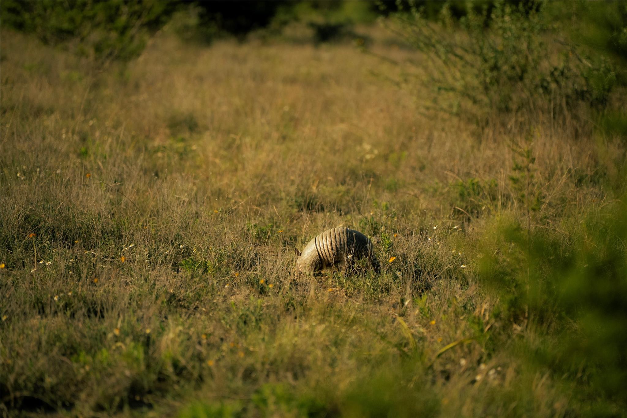 Image 19 of 35 For 157 Chick Ranch Loop