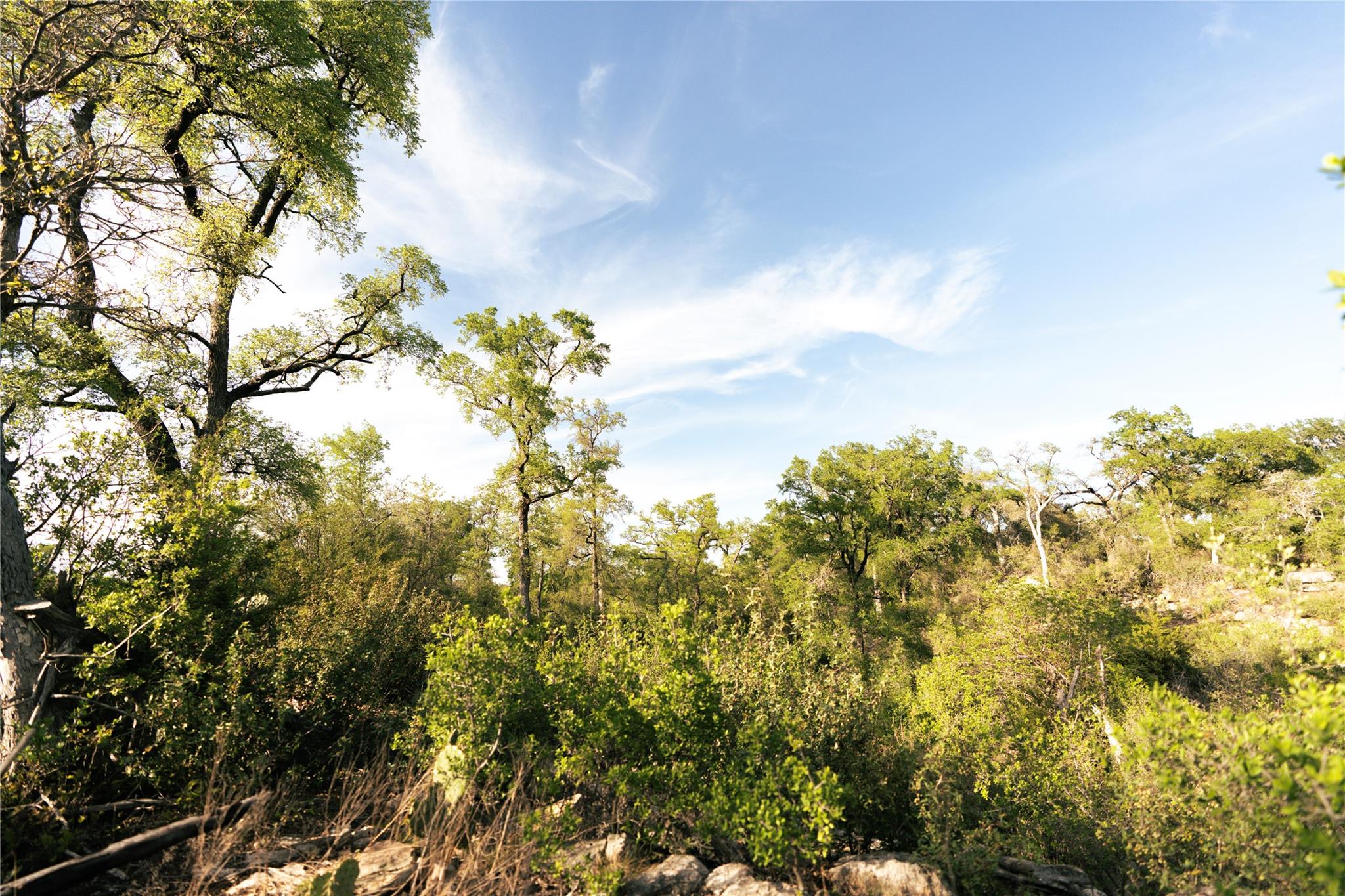 Image 21 of 35 For 157 Chick Ranch Loop
