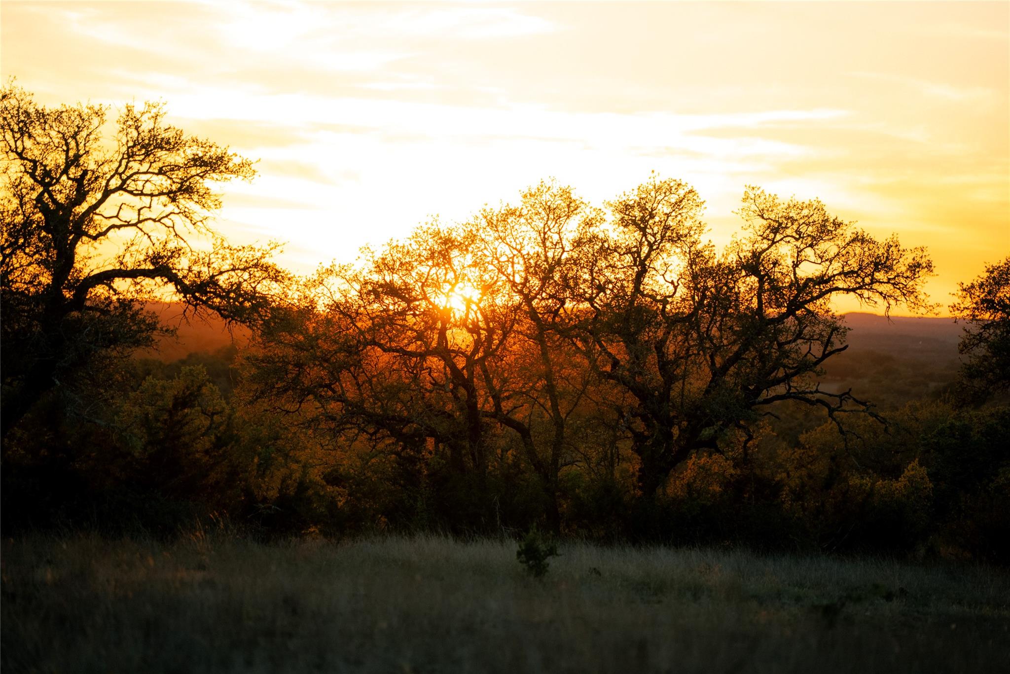 Image 34 of 35 For 157 Chick Ranch Loop