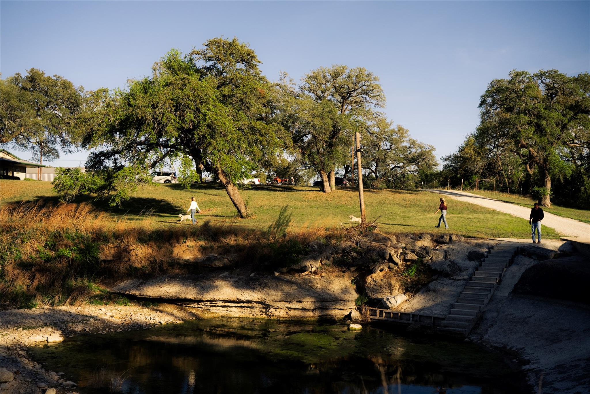 Image 4 of 35 For 157 Chick Ranch Loop