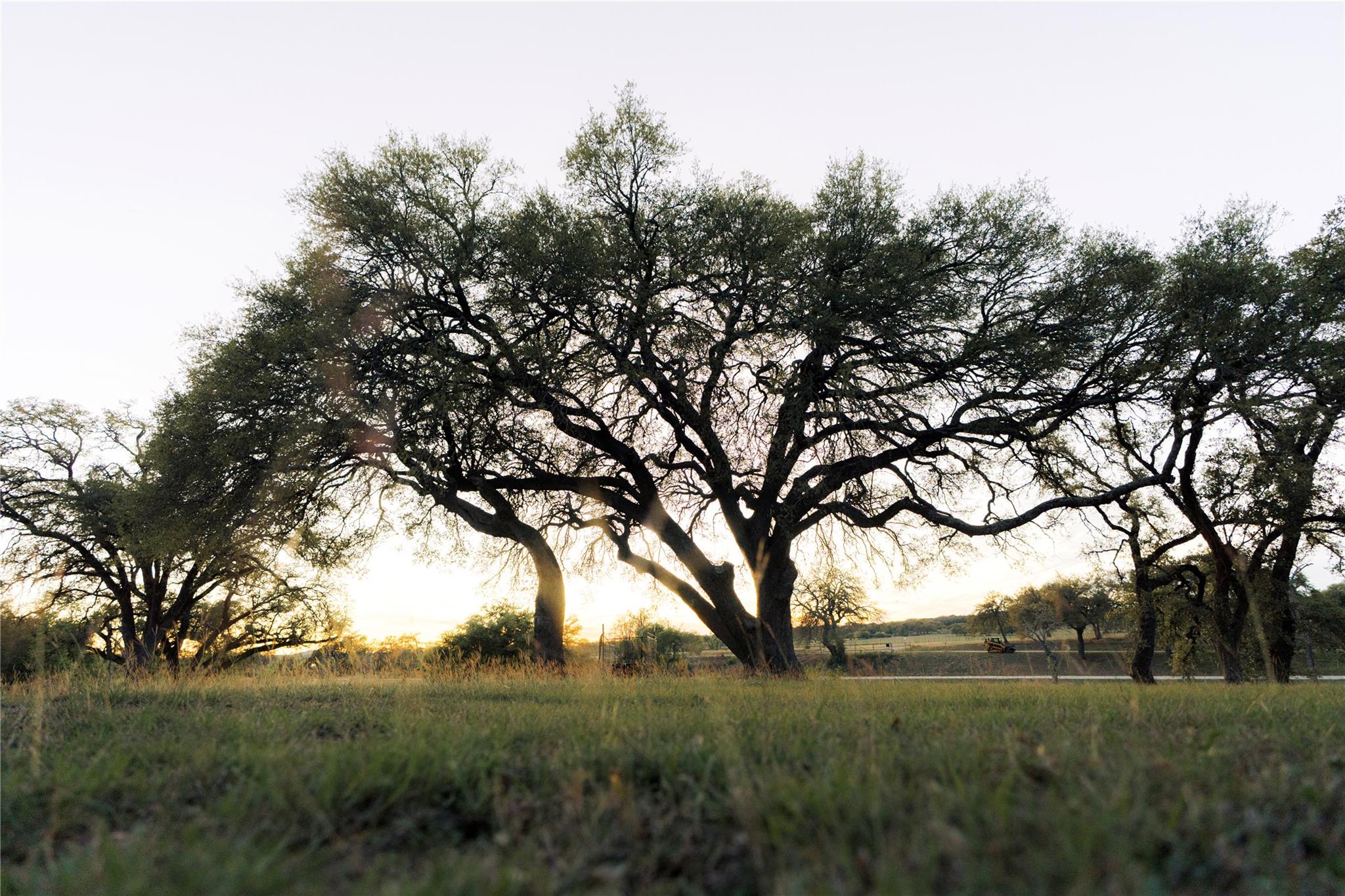 Image 8 of 35 For 157 Chick Ranch Loop