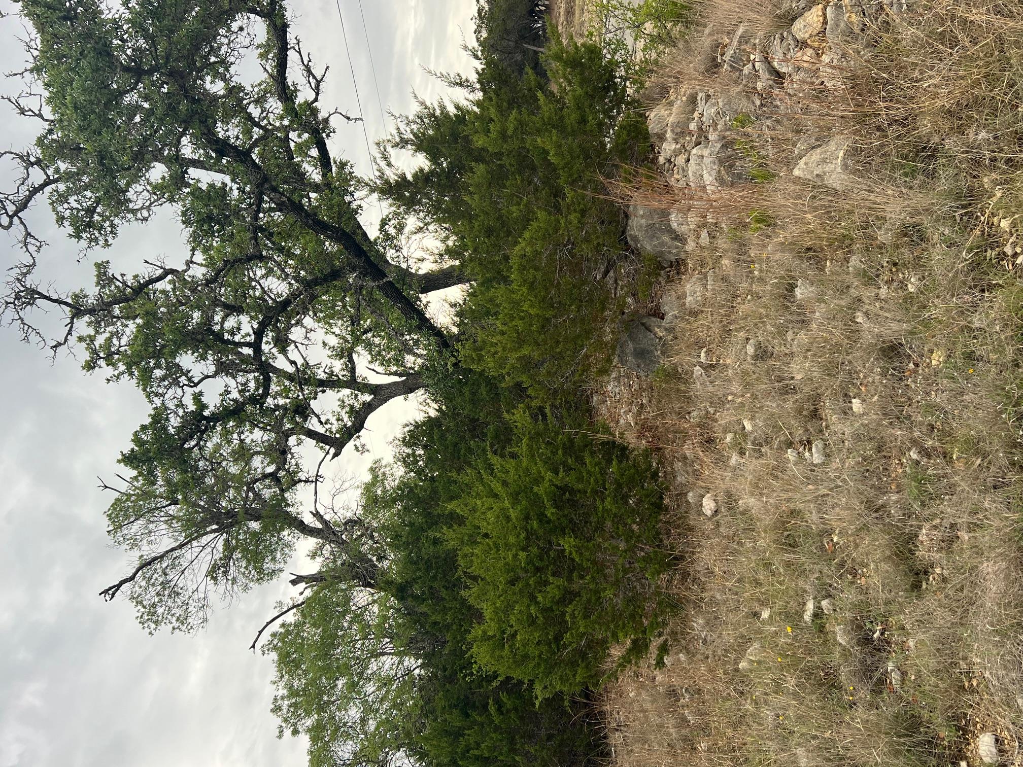 Image 8 of 10 For Lot 66 Broken Spoke 5 Acres