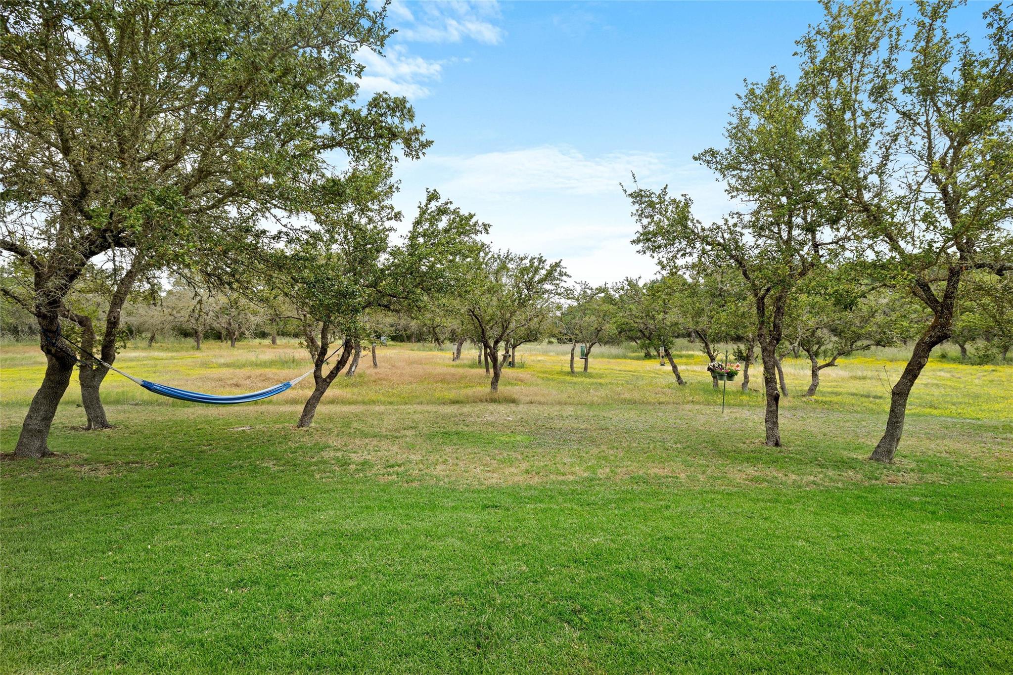 Image 33 of 40 For 426 Preiss Ranch Rd