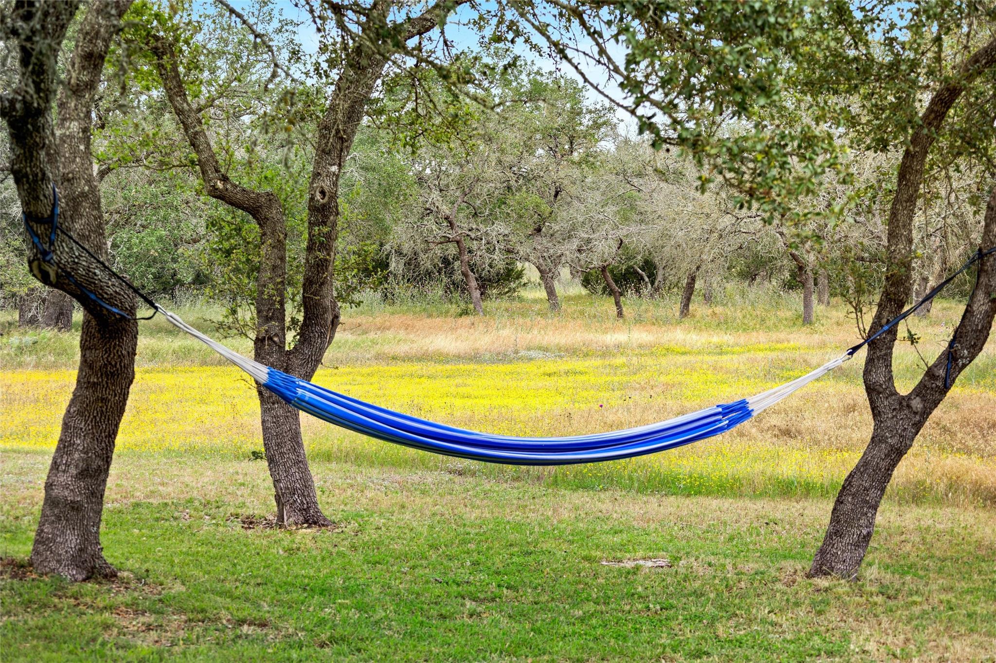 Image 34 of 40 For 426 Preiss Ranch Rd