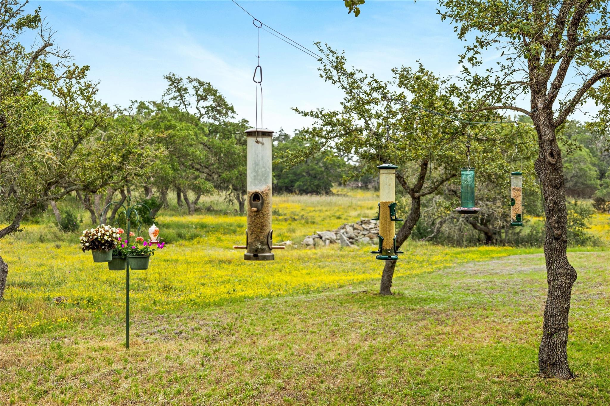 Image 35 of 40 For 426 Preiss Ranch Rd