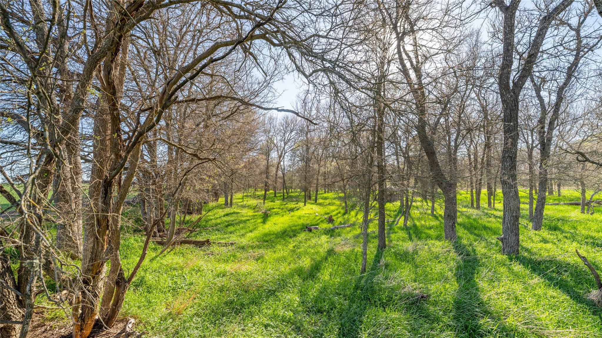 Details for 2396-e County Road 112, Buckholts, TX 76518