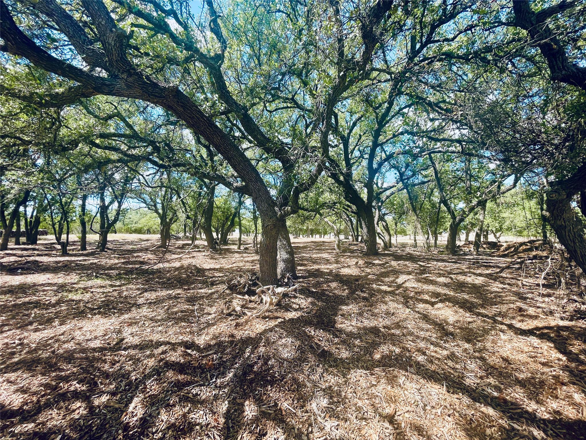 Image 3 of 13 For 233 Towhead Valley Rd