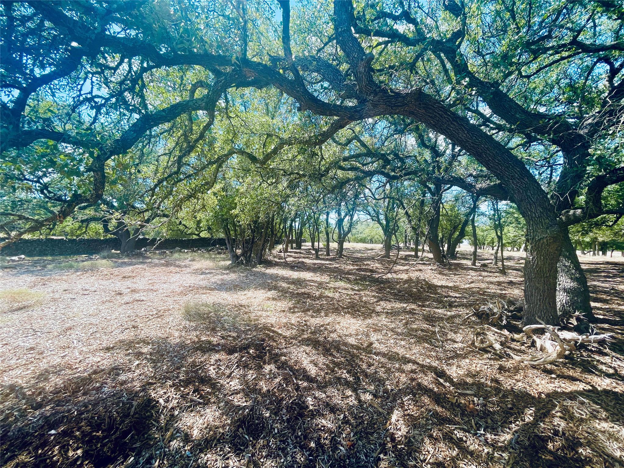 Image 4 of 13 For 233 Towhead Valley Rd