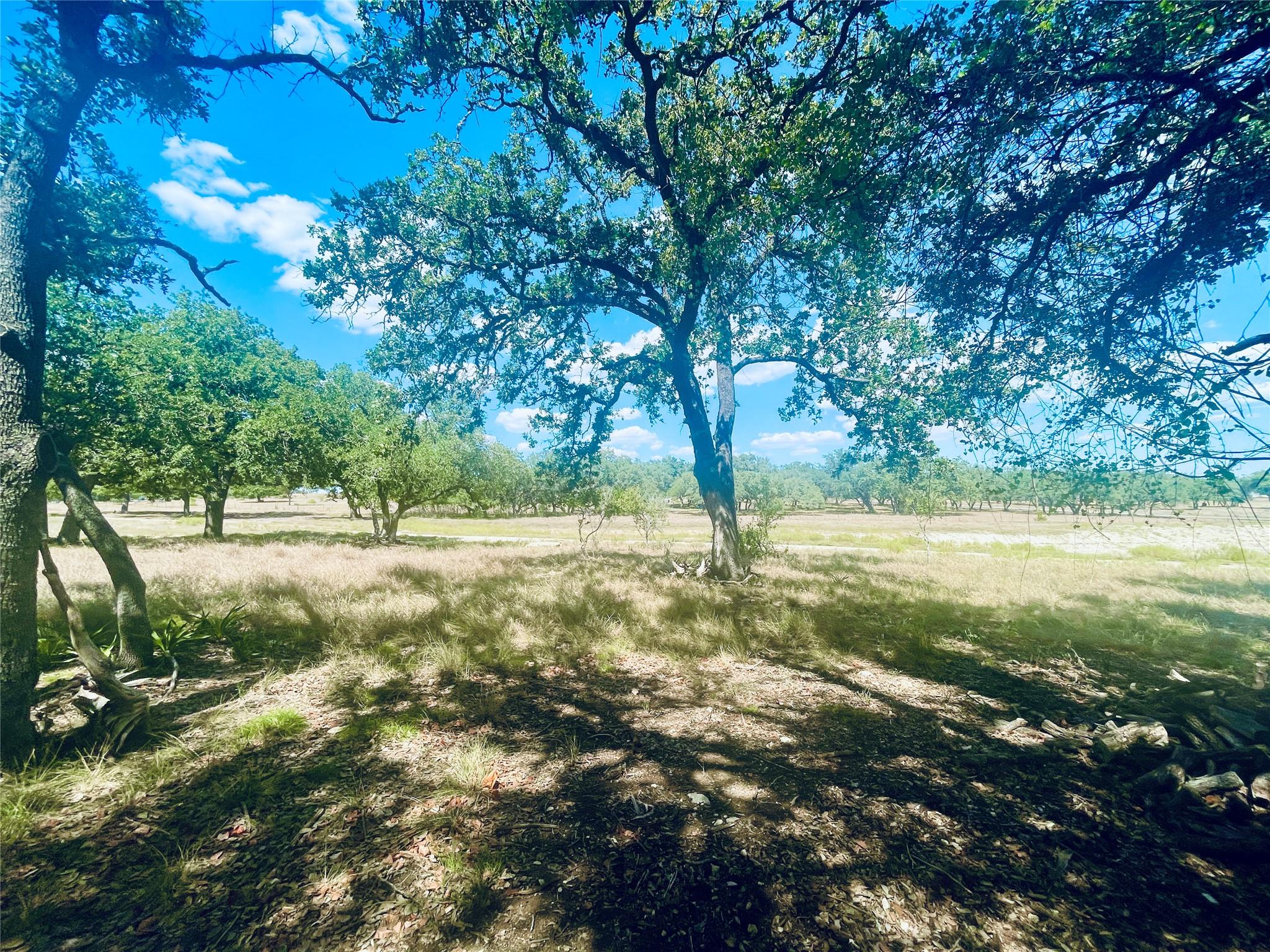 Image 5 of 13 For 233 Towhead Valley Rd