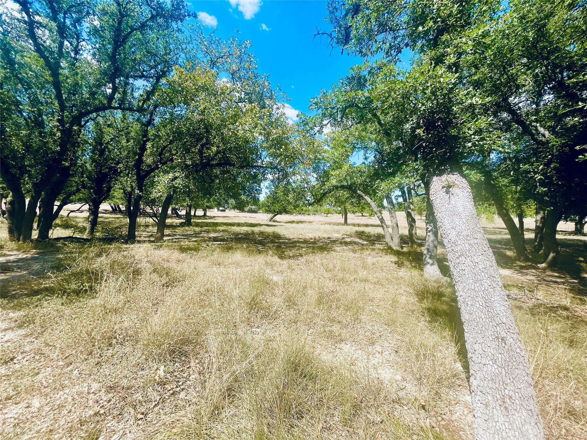 Image 6 of 13 For 233 Towhead Valley Rd