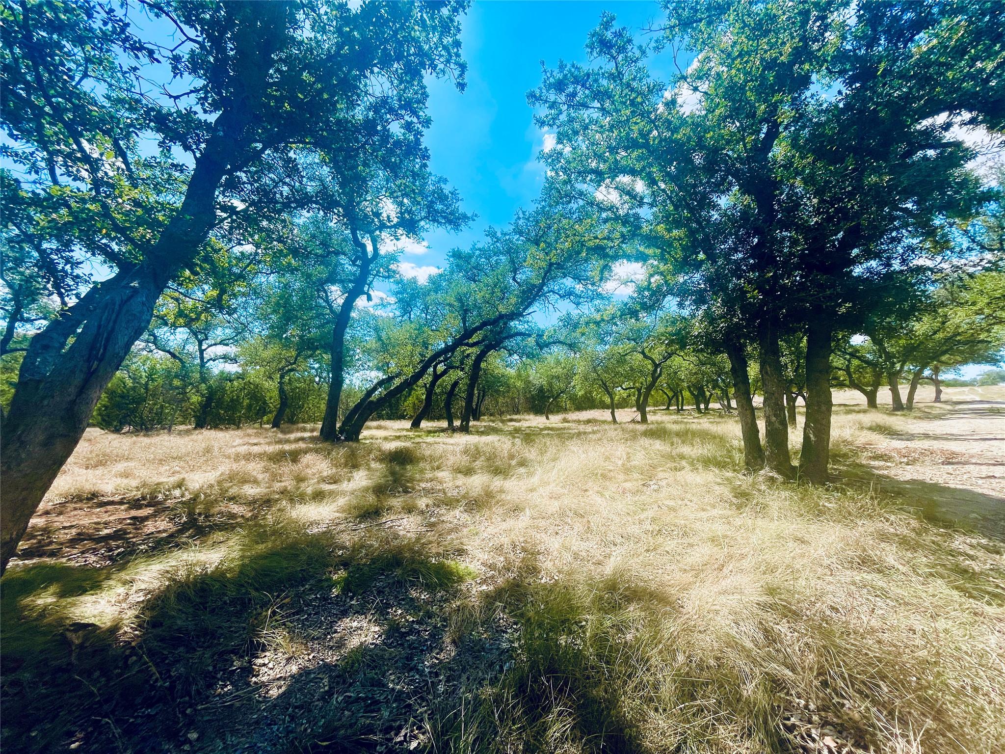 Image 7 of 13 For 233 Towhead Valley Rd