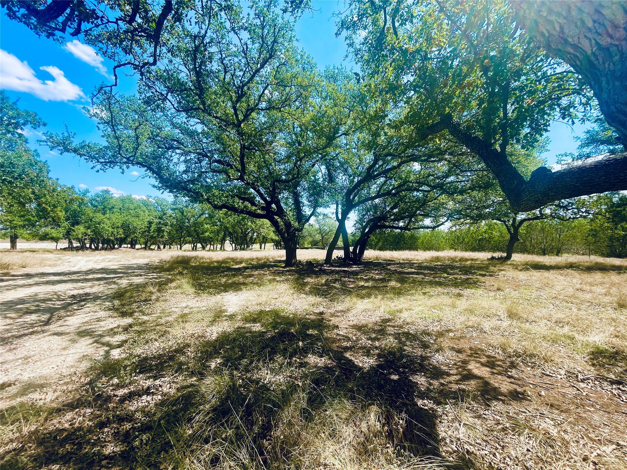 Image 8 of 13 For 233 Towhead Valley Rd