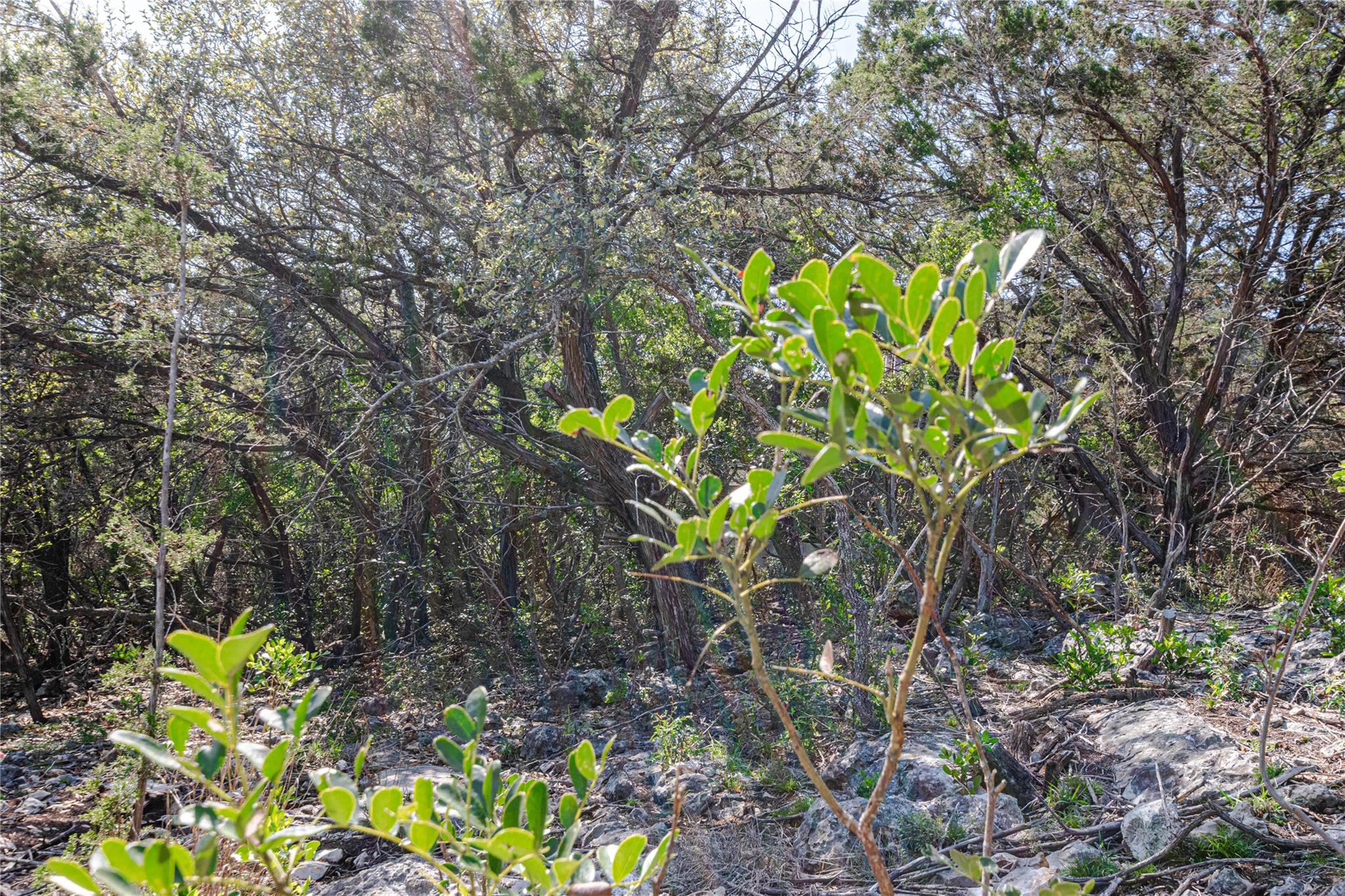 Image 12 of 13 For 3470 Summit Dr