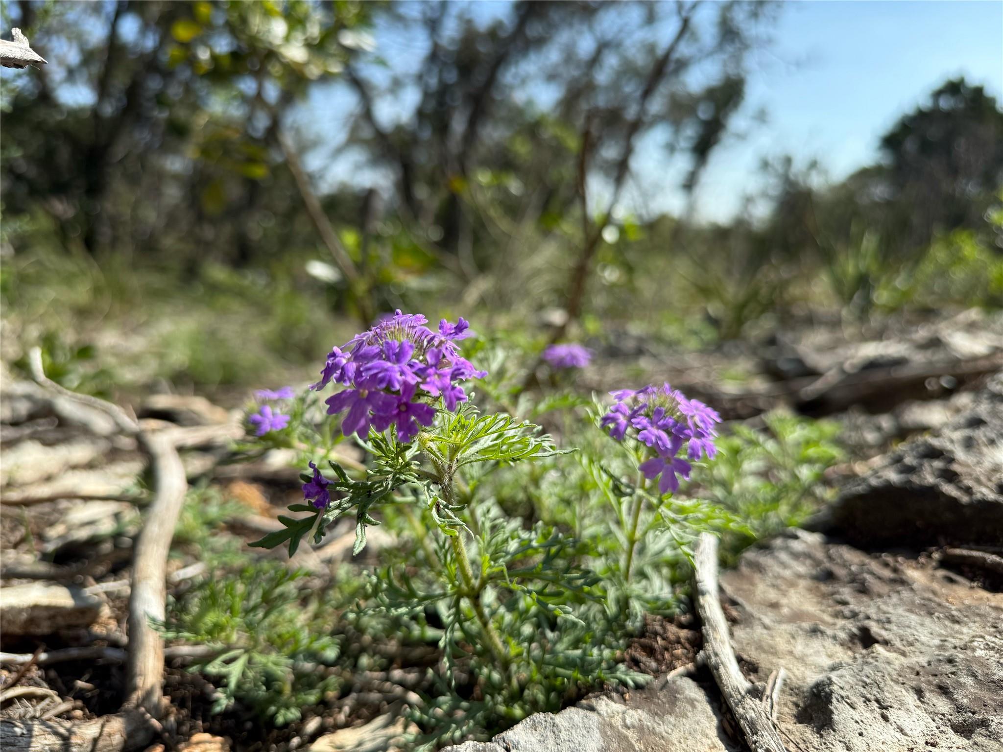 Image 13 of 13 For 3470 Summit Dr