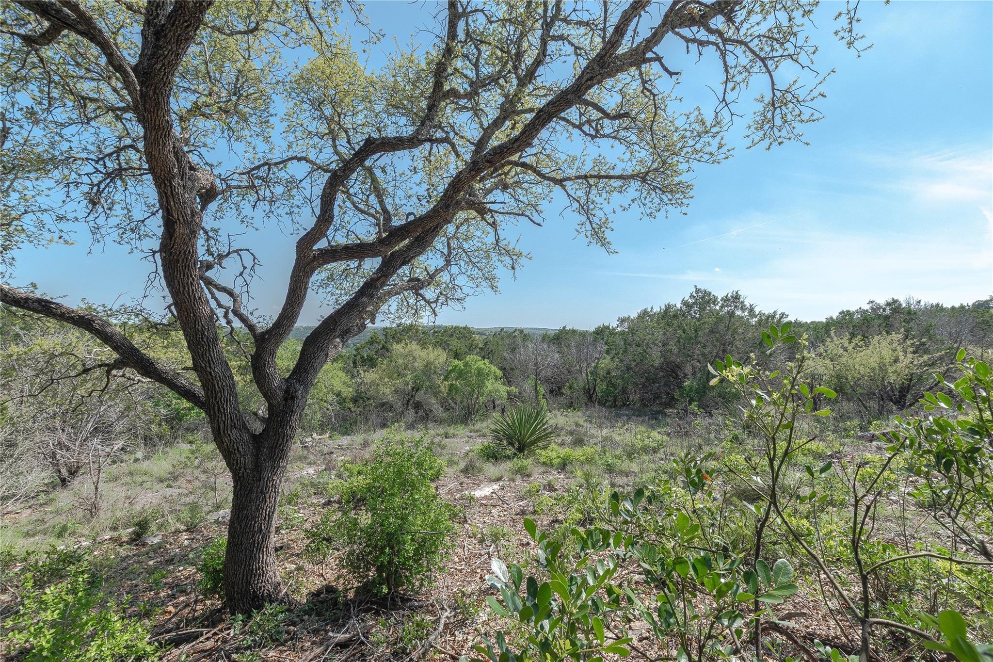 Image 5 of 13 For 3470 Summit Dr