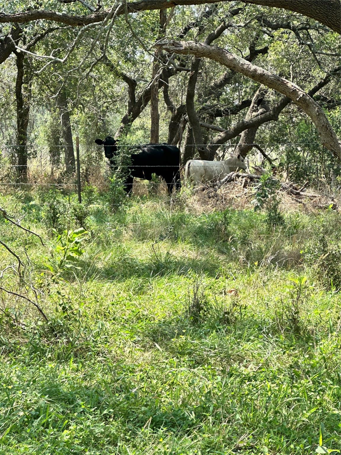 Image 7 of 10 For Chimney Valley Chimney Valley Rd