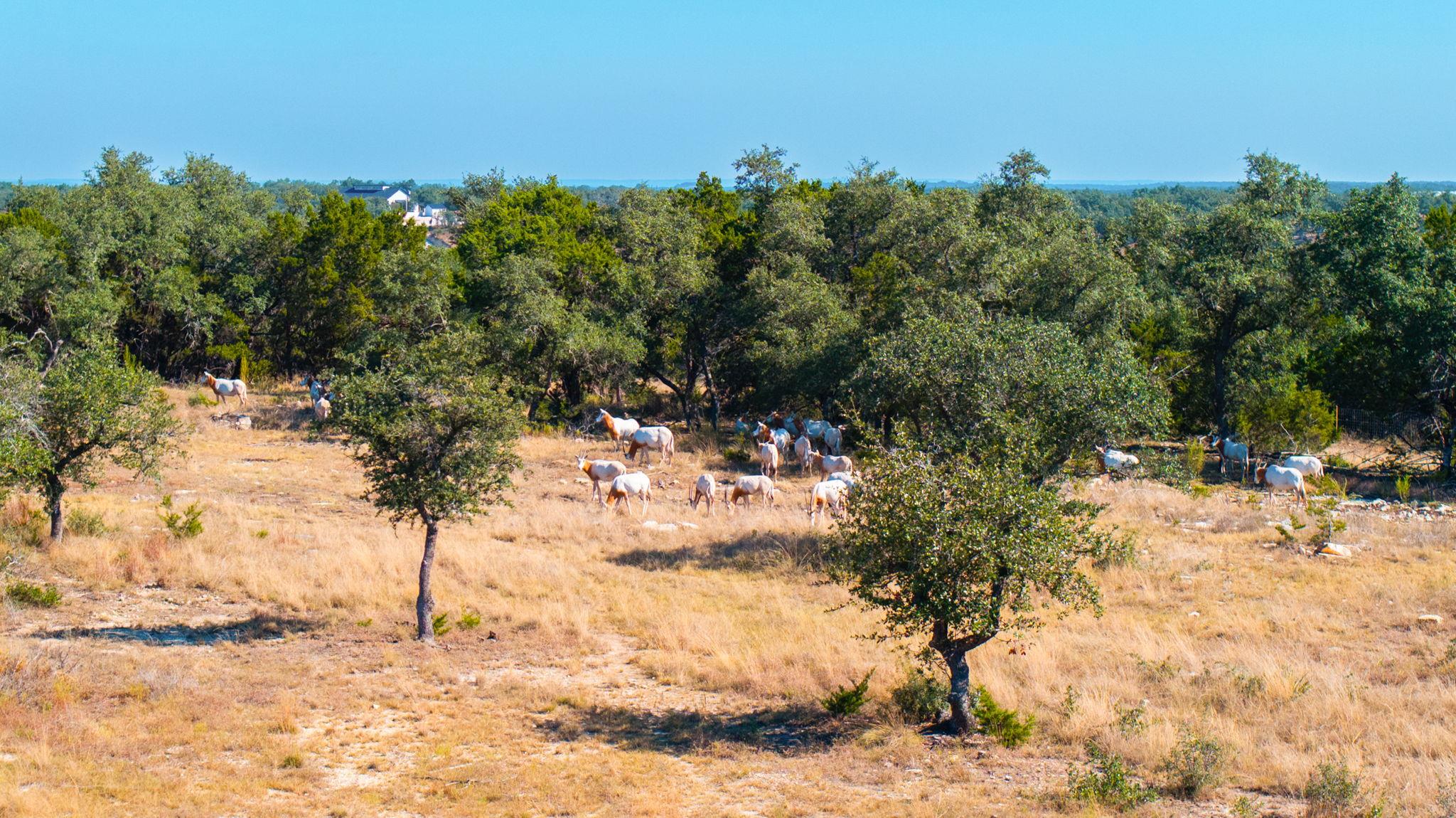 Image 12 of 26 For 199 Flat Rock Way