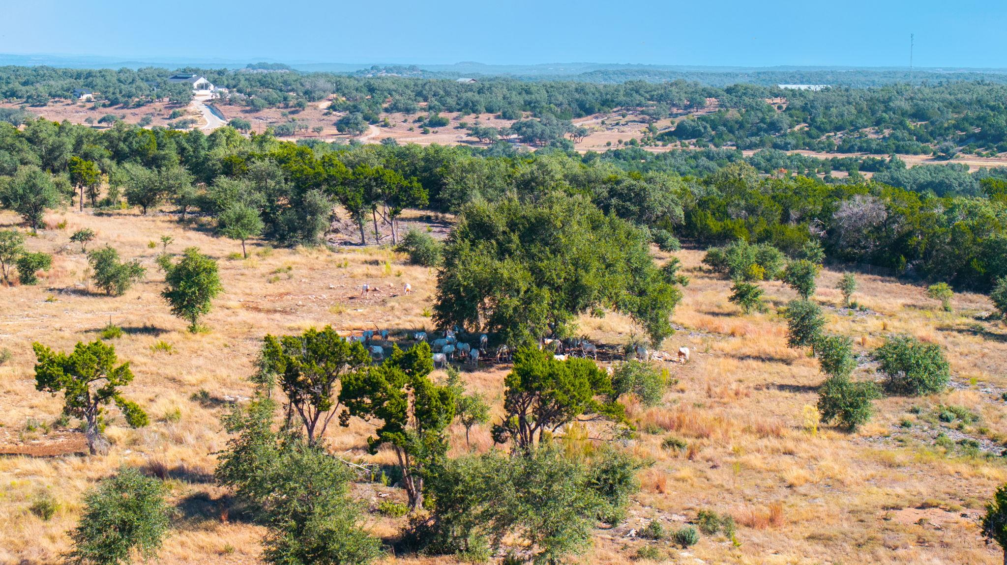 Image 16 of 26 For 199 Flat Rock Way