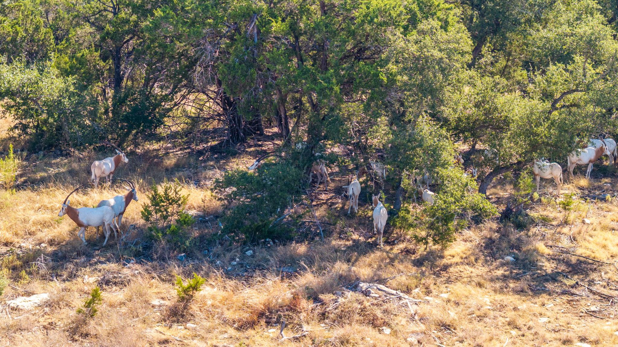 Image 20 of 26 For 199 Flat Rock Way