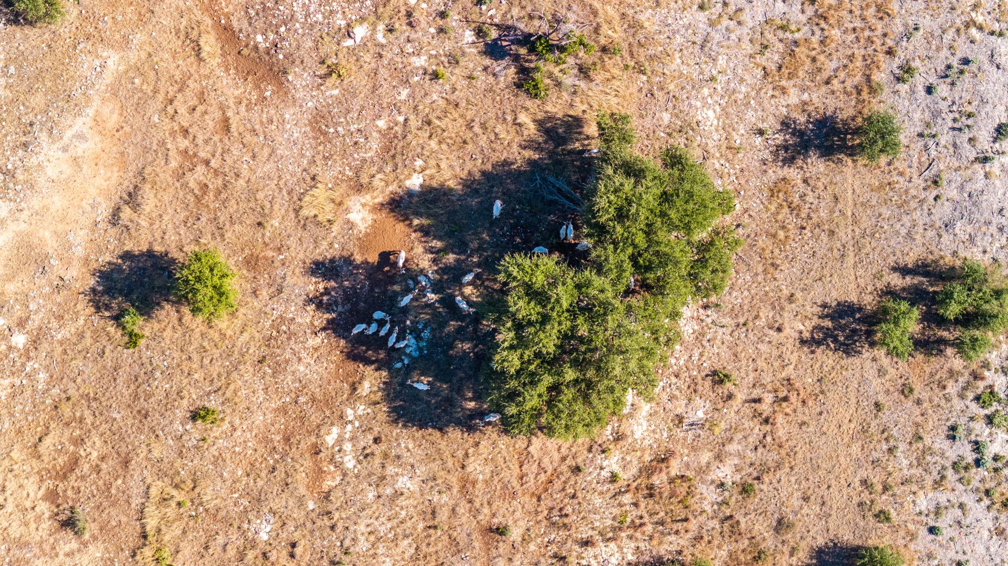 Image 24 of 26 For 199 Flat Rock Way