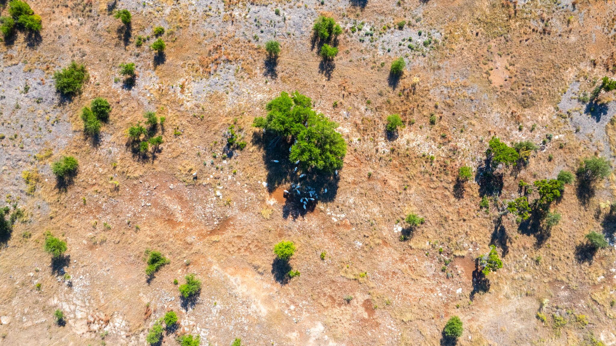 Image 25 of 26 For 199 Flat Rock Way