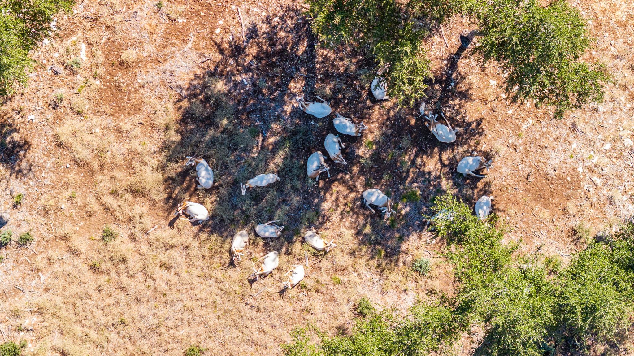 Image 5 of 26 For 199 Flat Rock Way