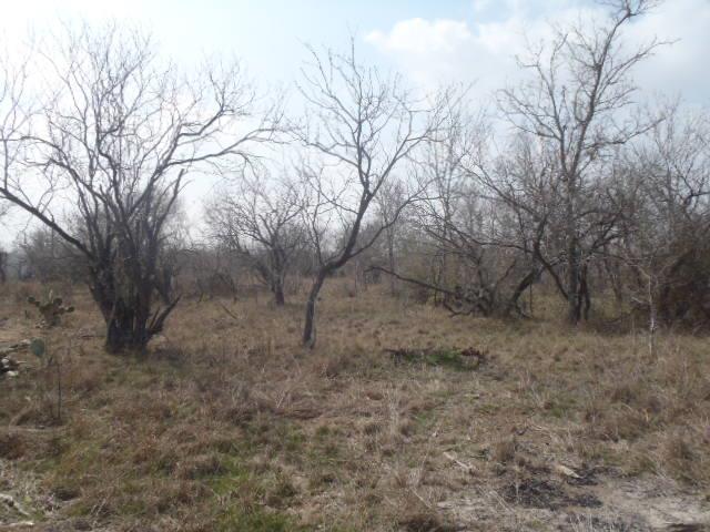 Image 11 of 32 For 1580 Pooley Rd